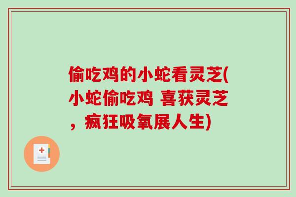 偷吃鸡的小蛇看灵芝(小蛇偷吃鸡 喜获灵芝，疯狂吸氧展人生)