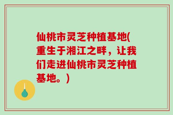 仙桃市灵芝种植基地(重生于湘江之畔，让我们走进仙桃市灵芝种植基地。)
