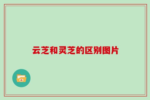 云芝和灵芝的区别图片