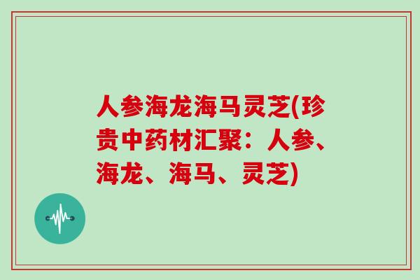 人参海龙海马灵芝(珍贵材汇聚：人参、海龙、海马、灵芝)