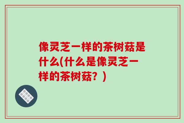 像灵芝一样的茶树菇是什么(什么是像灵芝一样的茶树菇？)