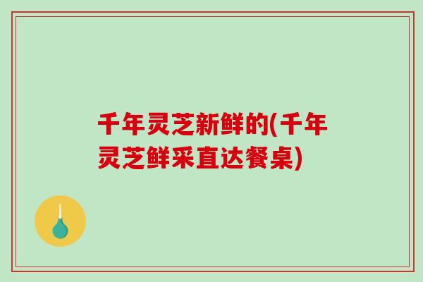 千年灵芝新鲜的(千年灵芝鲜采直达餐桌)