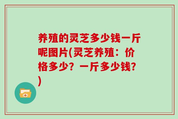 养殖的灵芝多少钱一斤呢图片(灵芝养殖：价格多少？一斤多少钱？)