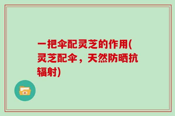 一把伞配灵芝的作用(灵芝配伞，天然防晒抗)