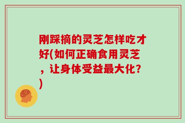 刚踩摘的灵芝怎样吃才好(如何正确食用灵芝，让身体受益大化？)