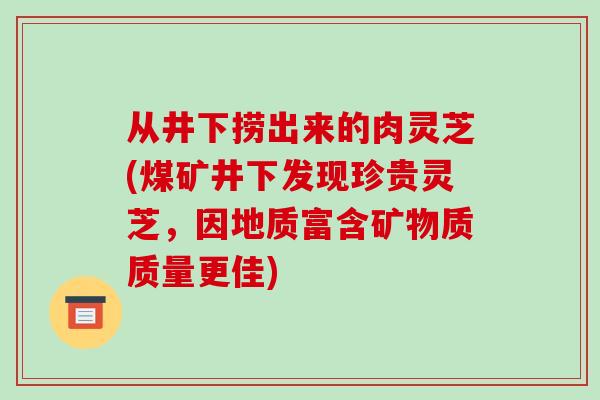 从井下捞出来的肉灵芝(煤矿井下发现珍贵灵芝，因地质富含矿物质质量更佳)