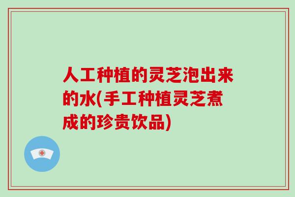 人工种植的灵芝泡出来的水(手工种植灵芝煮成的珍贵饮品)
