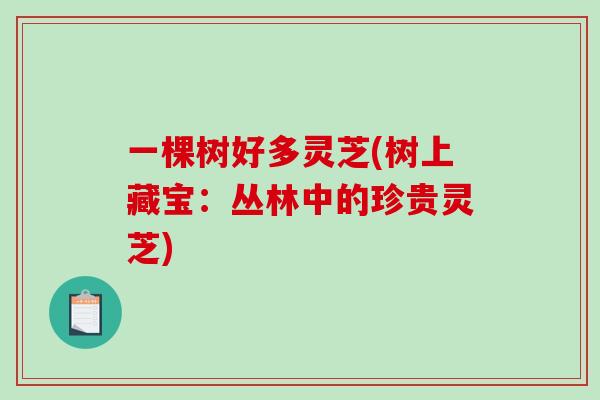 一棵树好多灵芝(树上藏宝：丛林中的珍贵灵芝)