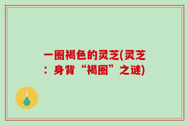 一圈褐色的灵芝(灵芝：身背“褐圈”之谜)