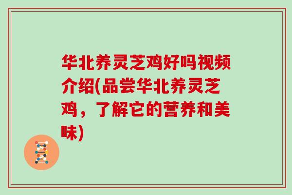 华北养灵芝鸡好吗视频介绍(品尝华北养灵芝鸡，了解它的营养和美味)