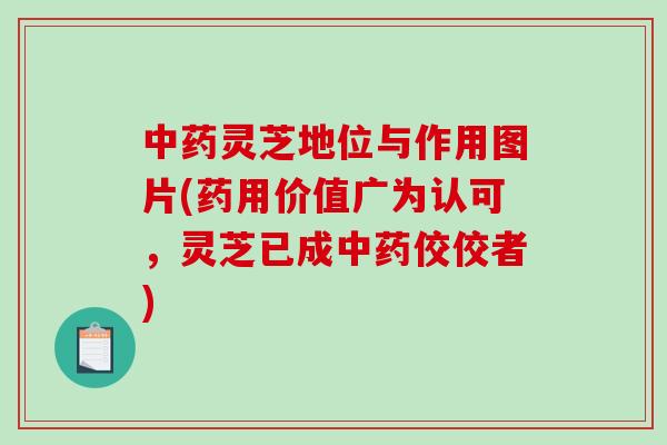 灵芝地位与作用图片(药用价值广为认可，灵芝已成佼佼者)