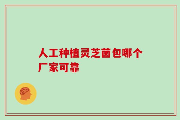 人工种植灵芝菌包哪个厂家可靠