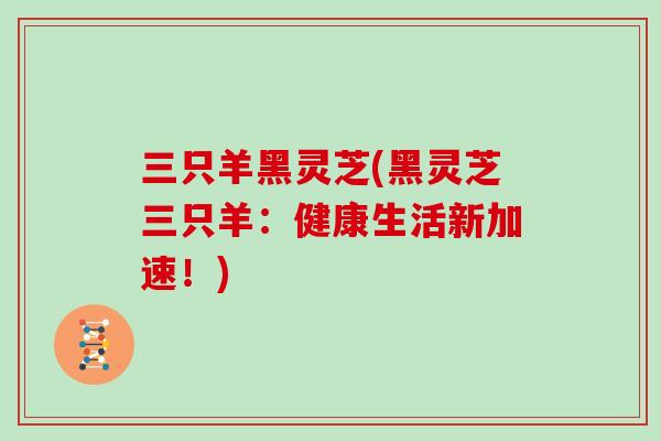 三只羊黑灵芝(黑灵芝三只羊：健康生活新加速！)