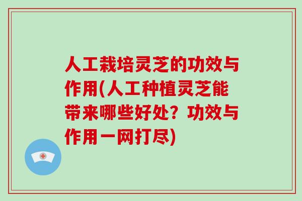 人工栽培灵芝的功效与作用(人工种植灵芝能带来哪些好处？功效与作用一网打尽)