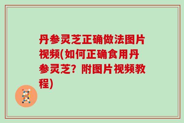 丹参灵芝正确做法图片视频(如何正确食用丹参灵芝？附图片视频教程)