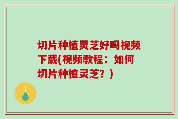 切片种植灵芝好吗视频下载(视频教程：如何切片种植灵芝？)