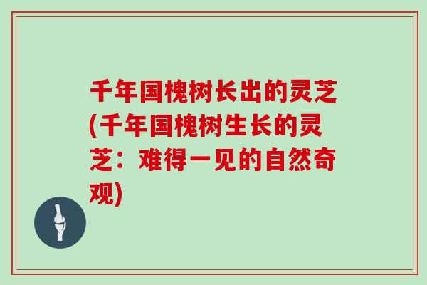 千年国槐树长出的灵芝(千年国槐树生长的灵芝：难得一见的自然奇观)