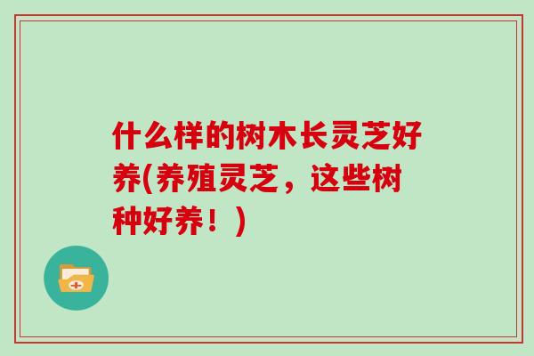 什么样的树木长灵芝好养(养殖灵芝，这些树种好养！)