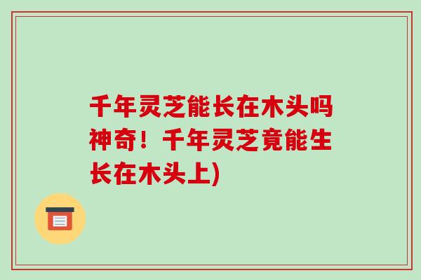 千年灵芝能长在木头吗神奇！千年灵芝竟能生长在木头上)