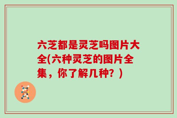 六芝都是灵芝吗图片大全(六种灵芝的图片全集，你了解几种？)