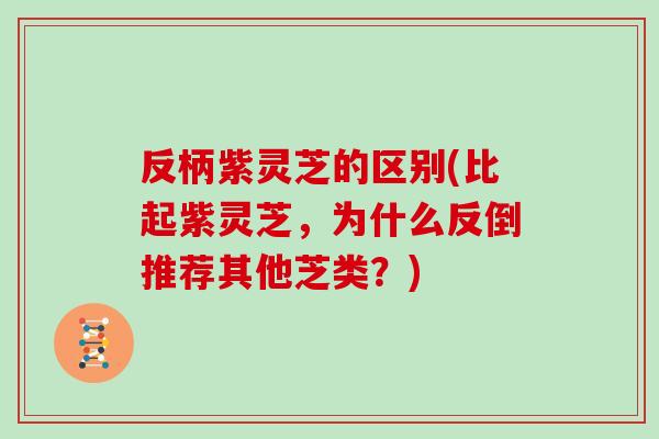 反柄紫灵芝的区别(比起紫灵芝，为什么反倒推荐其他芝类？)