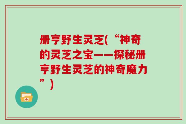 册亨野生灵芝(“神奇的灵芝之宝——探秘册亨野生灵芝的神奇魔力”)