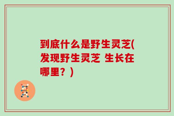 到底什么是野生灵芝(发现野生灵芝 生长在哪里？)