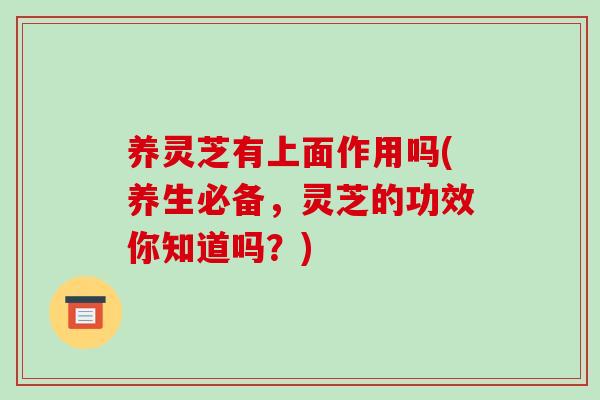 养灵芝有上面作用吗(养生必备，灵芝的功效你知道吗？)