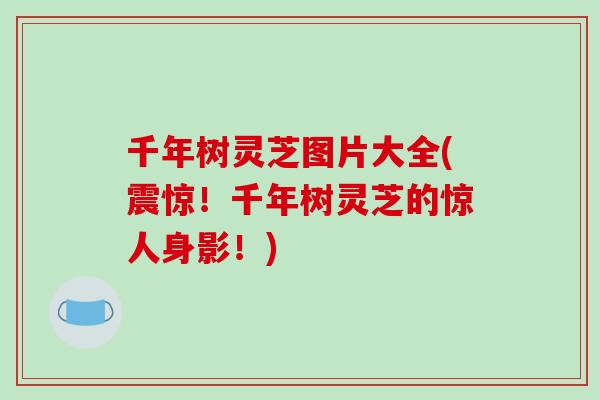 千年树灵芝图片大全(震惊！千年树灵芝的惊人身影！)