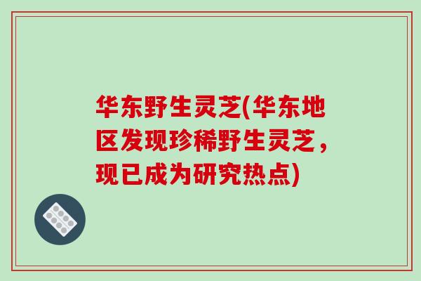华东野生灵芝(华东地区发现珍稀野生灵芝，现已成为研究热点)