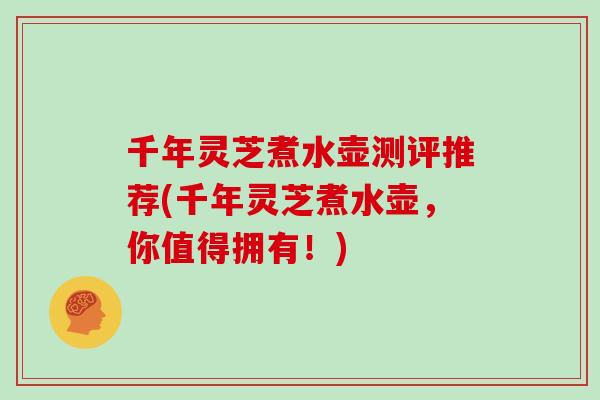 千年灵芝煮水壶测评推荐(千年灵芝煮水壶，你值得拥有！)