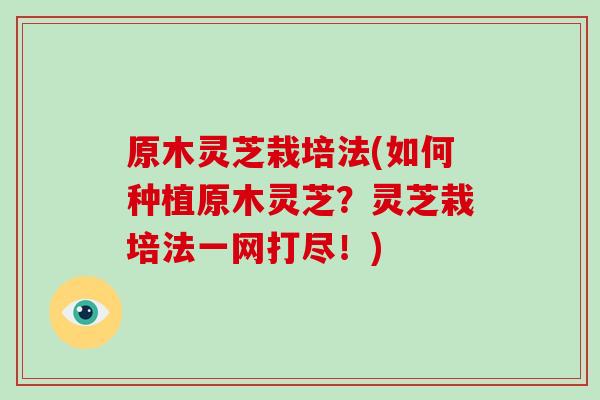 原木灵芝栽培法(如何种植原木灵芝？灵芝栽培法一网打尽！)