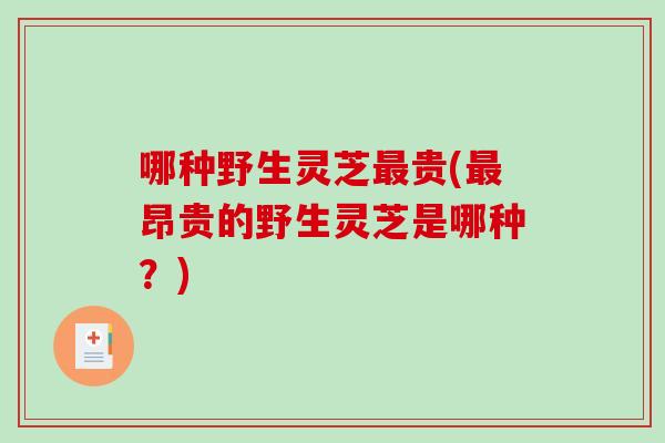 哪种野生灵芝贵(昂贵的野生灵芝是哪种？)