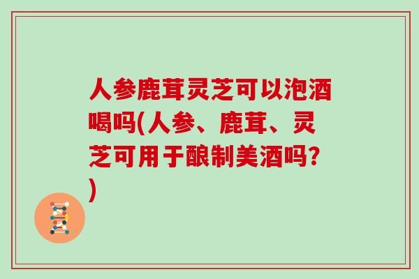 人参鹿茸灵芝可以泡酒喝吗(人参、鹿茸、灵芝可用于酿制美酒吗？)