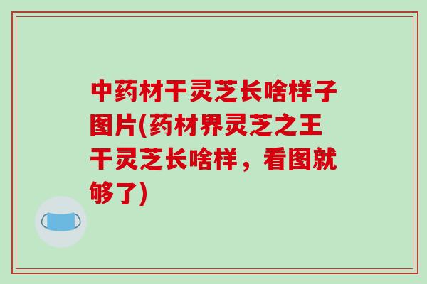 材干灵芝长啥样子图片(药材界灵芝之王干灵芝长啥样，看图就够了)