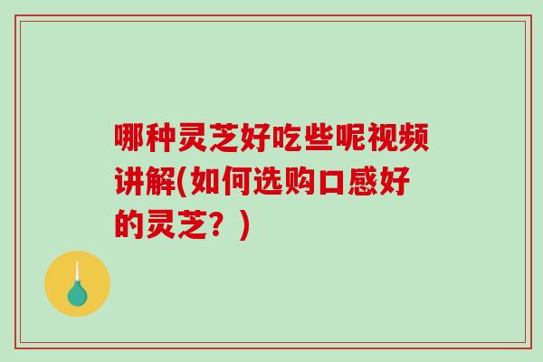 哪种灵芝好吃些呢视频讲解(如何选购口感好的灵芝？)