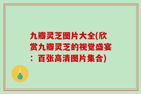 九瓣灵芝图片大全(欣赏九瓣灵芝的视觉盛宴：百张高清图片集合)