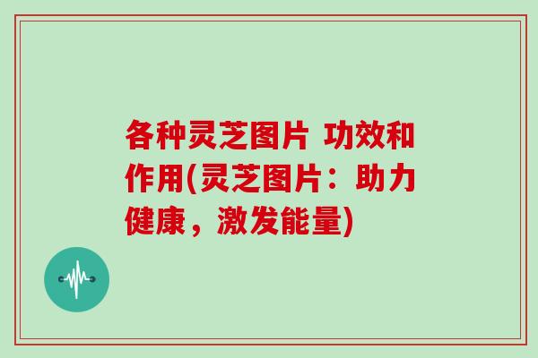 各种灵芝图片 功效和作用(灵芝图片：助力健康，激发能量)
