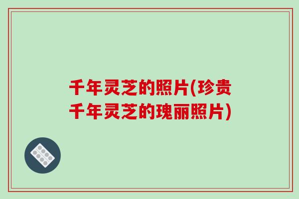 千年灵芝的照片(珍贵千年灵芝的瑰丽照片)