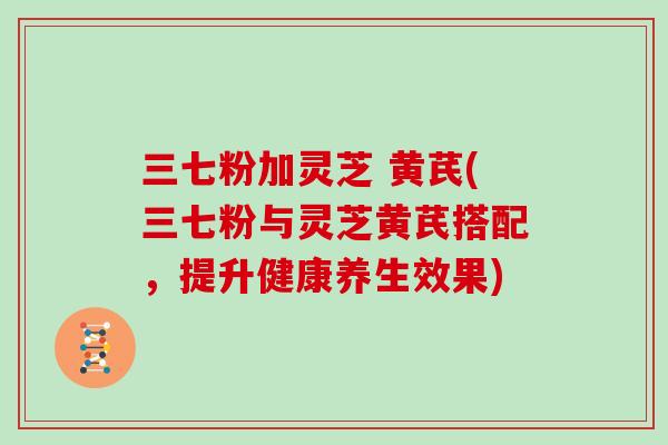 三七粉加灵芝 黄芪(三七粉与灵芝黄芪搭配，提升健康养生效果)