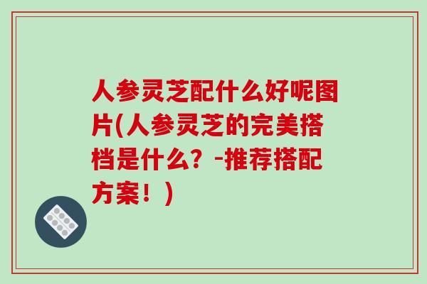 人参灵芝配什么好呢图片(人参灵芝的完美搭档是什么？-推荐搭配方案！)