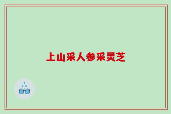 上山采人参采灵芝