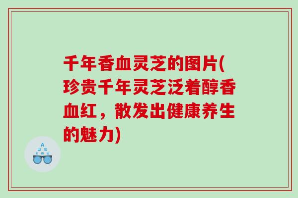 千年香灵芝的图片(珍贵千年灵芝泛着醇香红，散发出健康养生的魅力)
