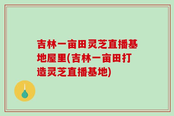 吉林一亩田灵芝直播基地屋里(吉林一亩田打造灵芝直播基地)