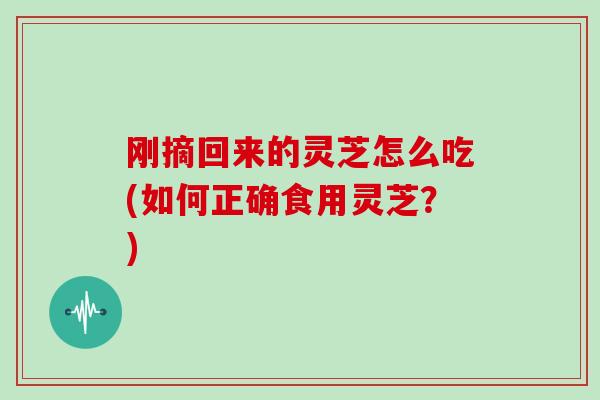 刚摘回来的灵芝怎么吃(如何正确食用灵芝？)