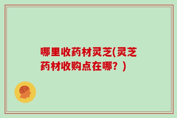 哪里收药材灵芝(灵芝药材收购点在哪？)