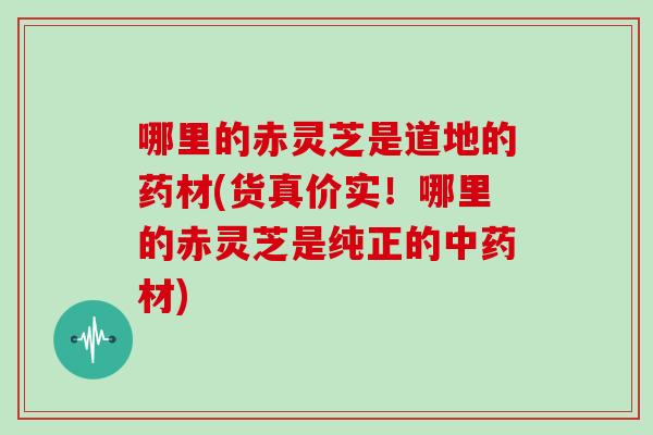 哪里的赤灵芝是道地的药材(货真价实！哪里的赤灵芝是纯正的材)