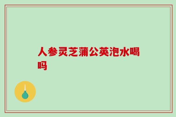 人参灵芝蒲公英泡水喝吗