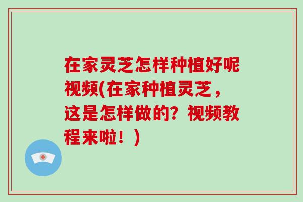 在家灵芝怎样种植好呢视频(在家种植灵芝，这是怎样做的？视频教程来啦！)