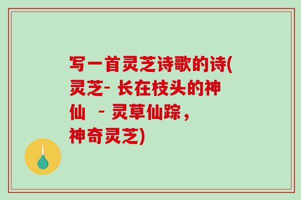 写一首灵芝诗歌的诗(灵芝- 长在枝头的神仙  - 灵草仙踪，神奇灵芝)